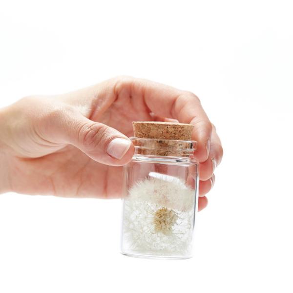 Wunscherfüller Glas - Pusteblume im Glas mit Korkverschluss - Handgefertigt - Ø4.5xH7.5cm - Ideal für Hochzeit Geburtstag Taufe Prüfung - 100% Natur