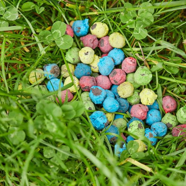 Blumenmurmeln 25er-Set für Kinder – Bunte Saatbomben zum einfachen Pflanzen vielfältiger Blumen – 24 Sorten, 100% Naturmaterialien, handgefertigt