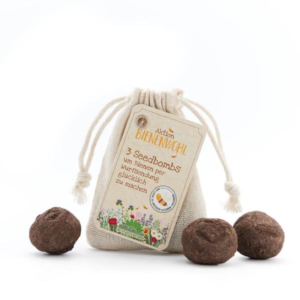 3er-Set Samenbomben Wildblumen - Bienenwohl Saatbomben bunte Wiese - 100% Naturmaterialien - Einfach werfen & wässern für Garten & Balkon - ideales Geschenk