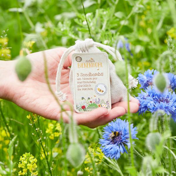 3er-Set Samenbomben Wildblumen - Bienenwohl Saatbomben bunte Wiese - 100% Naturmaterialien - Einfach werfen & wässern für Garten & Balkon - ideales Geschenk