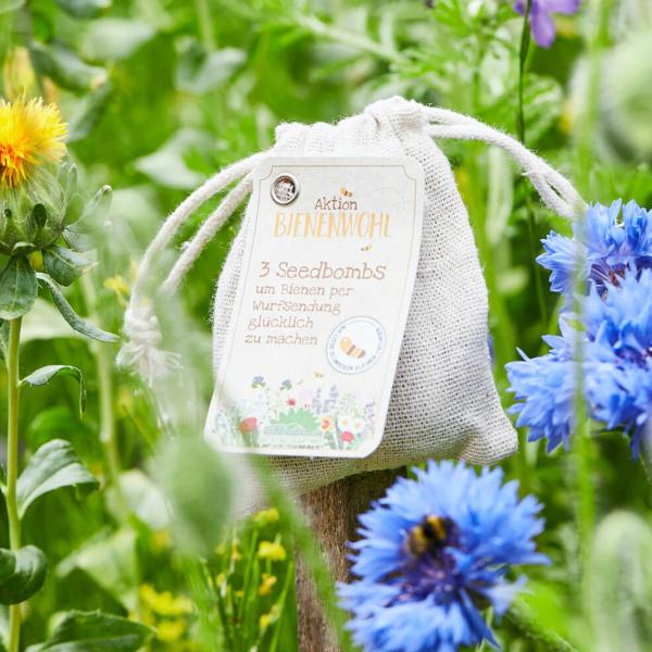 3er-Set Samenbomben Wildblumen - Bienenwohl Saatbomben bunte Wiese - 100% Naturmaterialien - Einfach werfen & wässern für Garten & Balkon - ideales Geschenk