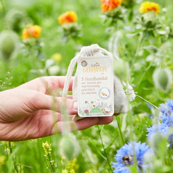 3er-Set Samenbomben Wildblumen - Bienenwohl Saatbomben bunte Wiese - 100% Naturmaterialien - Einfach werfen & wässern für Garten & Balkon - ideales Geschenk