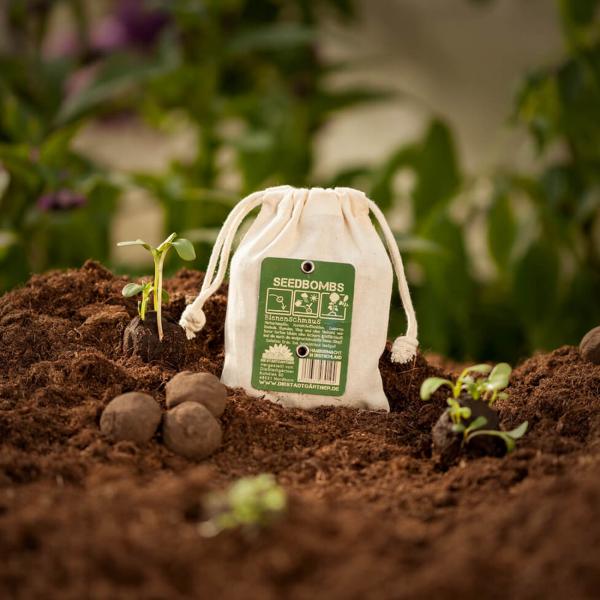 Samenbomben Bienenschmaus 8er-Set - Wildblumen Saatbomben für bienenfreundlichen Garten & Balkon - 38 Saatgutarten, 100% Naturmaterialien, handgemacht
