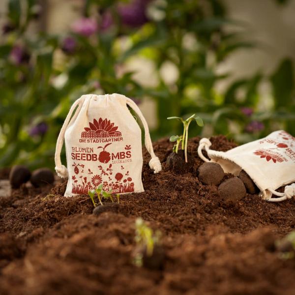 Samenbomben Bienenschmaus 8er-Set - Wildblumen Saatbomben für bienenfreundlichen Garten & Balkon - 38 Saatgutarten, 100% Naturmaterialien, handgemacht