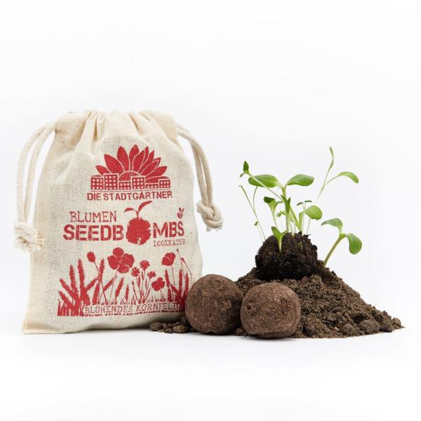 Samenbomben blühendes Kornfeld 8er-Set - Saatbomben Wildblumenmischung für Garten & Balkon - 21 Saatgutarten, 100% Naturmaterialien, handgefertigt