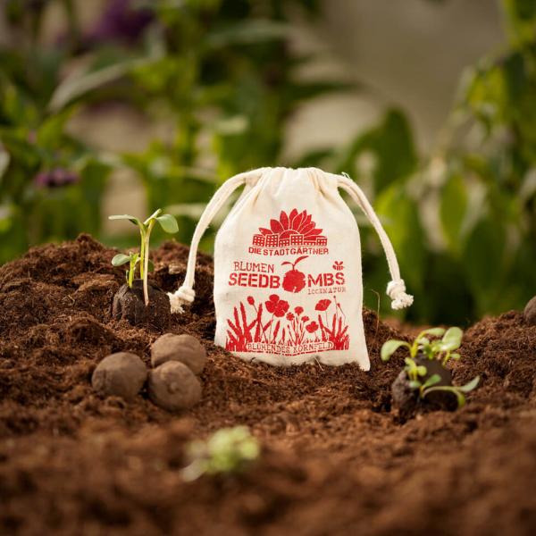 Samenbomben blühendes Kornfeld 8er-Set - Saatbomben Wildblumenmischung für Garten & Balkon - 21 Saatgutarten, 100% Naturmaterialien, handgefertigt