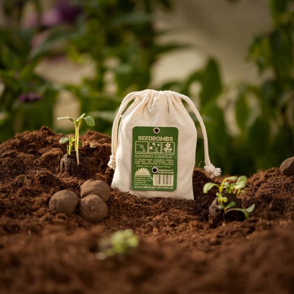 Samenbomben blühendes Kornfeld 8er-Set - Saatbomben Wildblumenmischung für Garten & Balkon - 21 Saatgutarten, 100% Naturmaterialien, handgefertigt