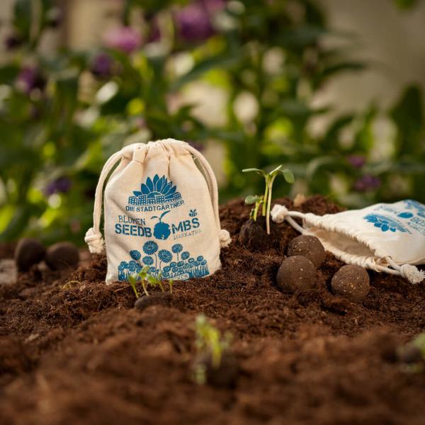 Samenbomben Gänseblümchen 8er-Set - Einfach Blumen pflanzen Garten Balkon Geschenk - Naturmaterialien handgemacht Wuchshöhe 10cm