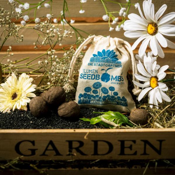 Samenbomben Gänseblümchen 8er-Set - Einfach Blumen pflanzen Garten Balkon Geschenk - Naturmaterialien handgemacht Wuchshöhe 10cm