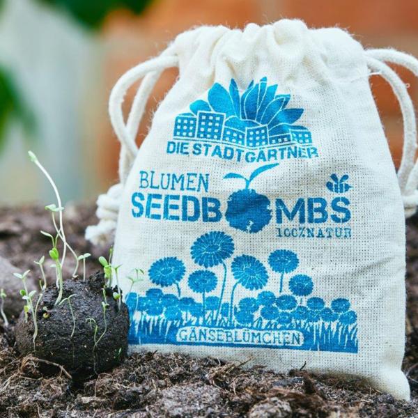 Samenbomben Gänseblümchen 8er-Set - Einfach Blumen pflanzen Garten Balkon Geschenk - Naturmaterialien handgemacht Wuchshöhe 10cm