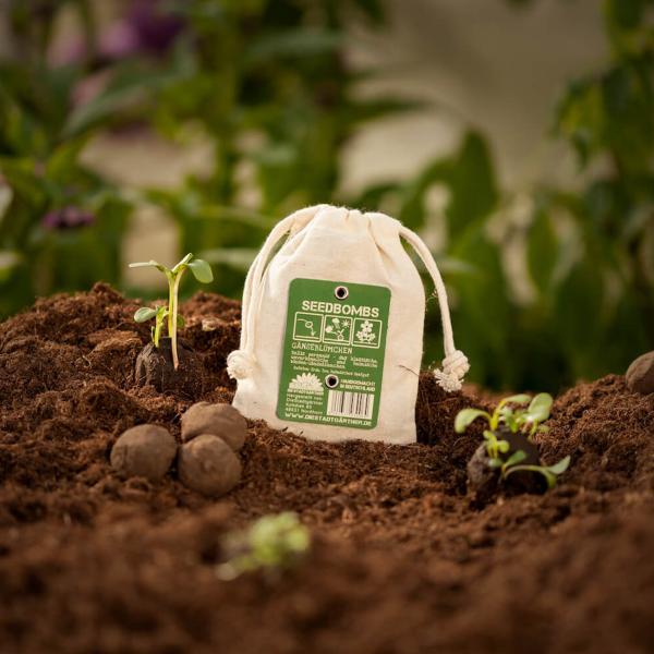 Samenbomben Gänseblümchen 8er-Set - Einfach Blumen pflanzen Garten Balkon Geschenk - Naturmaterialien handgemacht Wuchshöhe 10cm