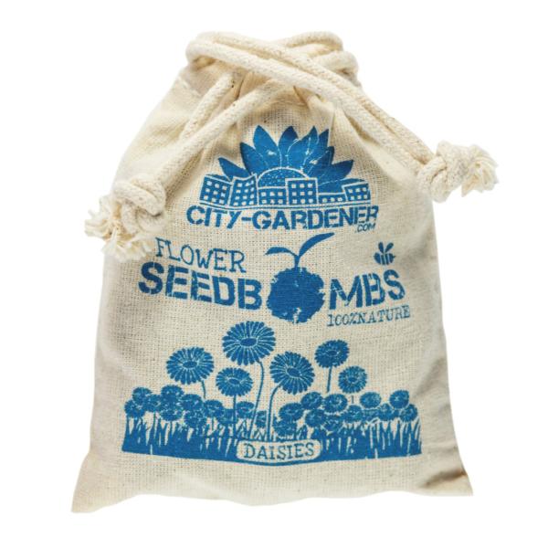 Samenbomben Gänseblümchen 8er-Set - Einfach Blumen pflanzen Garten Balkon Geschenk - Naturmaterialien handgemacht Wuchshöhe 10cm