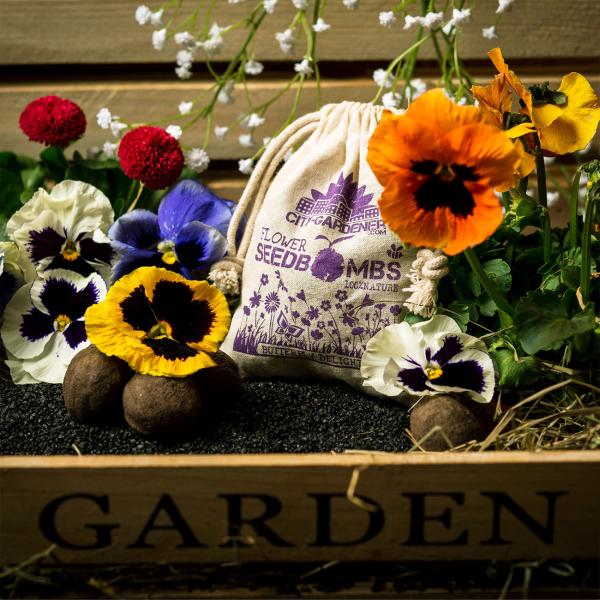 8er-Set Samenbomben Schmetterlingswiese - Paradies für Bienen & Schmetterlinge - 39 Saatgutarten - 100% Naturmaterialien im Jutebeutel - Handgemacht