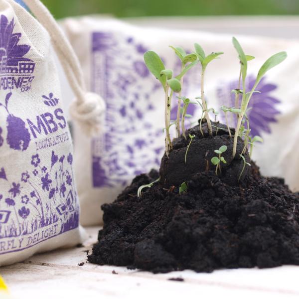 8er-Set Samenbomben Schmetterlingswiese - Paradies für Bienen & Schmetterlinge - 39 Saatgutarten - 100% Naturmaterialien im Jutebeutel - Handgemacht