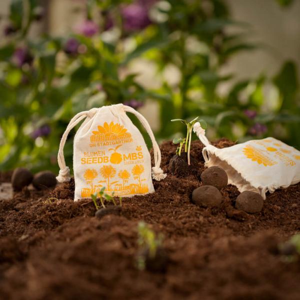 Samenbomben Sonnenblume 8er-Set - 5 verschiedene Sorten für Garten & Balkon - Handgemacht aus Naturmaterialien - Bis 2 Jahre haltbar