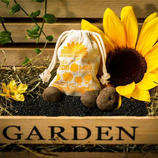 Samenbomben Sonnenblume 8er-Set - 5 verschiedene Sorten für Garten & Balkon - Handgemacht aus Naturmaterialien - Bis 2 Jahre haltbar