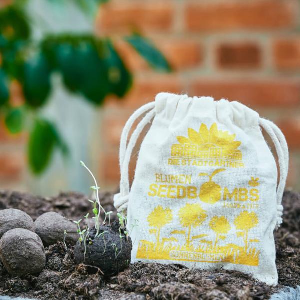 Samenbomben Sonnenblume 8er-Set - 5 verschiedene Sorten für Garten & Balkon - Handgemacht aus Naturmaterialien - Bis 2 Jahre haltbar