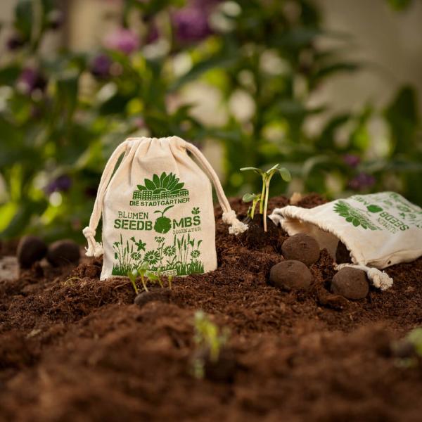 Samenbomben Wilde Wiese 8er-Set - Saatbomben mit 54 Samenarten für Garten & Balkon - Handgemacht aus Naturmaterialien - Bis 2 Jahre haltbar