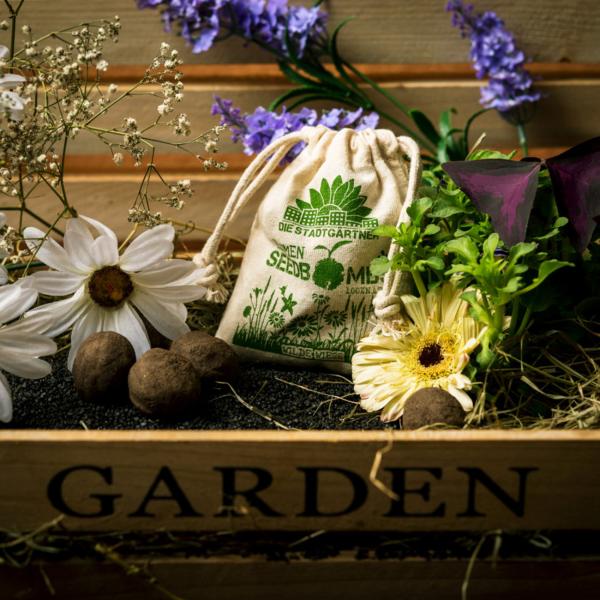 Samenbomben Wilde Wiese 8er-Set - Saatbomben mit 54 Samenarten für Garten & Balkon - Handgemacht aus Naturmaterialien - Bis 2 Jahre haltbar