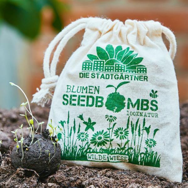 Samenbomben Wilde Wiese 8er-Set - Saatbomben mit 54 Samenarten für Garten & Balkon - Handgemacht aus Naturmaterialien - Bis 2 Jahre haltbar