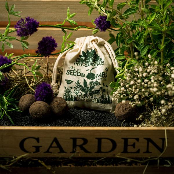 Samenbomben Wildkräuter 8er-Set, Saatbomben mit 6 verschiedenen Kräutersorten