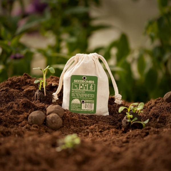 Samenbomben Wildkräuter 8er-Set, Saatbomben mit 6 verschiedenen Kräutersorten