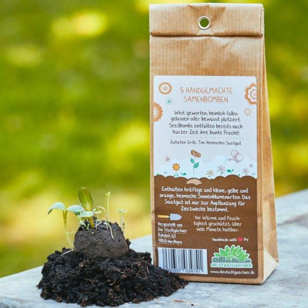Samenbomben Sonnenblumen 5er-Set - Saatbomben für Garten & Balkon - 5 Sorten, handgemacht, 80-300cm Wuchshöhe, bis 2 Jahre haltbar