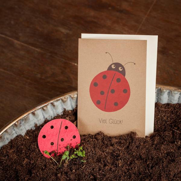 Glückwunschkarte mit Saatgut für Blumen - Marienkäfer Karte zum Bepflanzen - Langanhaltende Freude & Blumengruss - Handgemacht in Deutschland, bunt