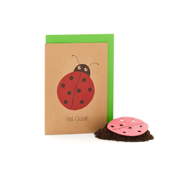 Glückwunschkarte mit Saatgut für Blumen - Marienkäfer Karte zum Bepflanzen - Langanhaltende Freude & Blumengruss - Handgemacht in Deutschland, bunt
