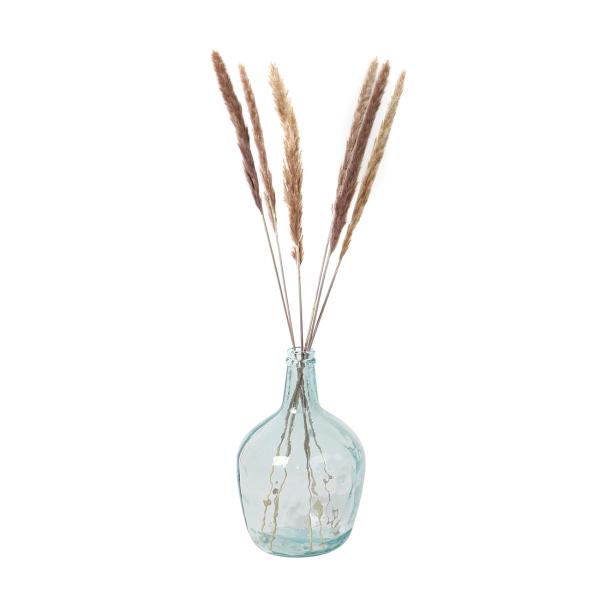 Getrocknetes Pampasgras im 6er-Bund - Natürliche Trockenblumen Deko für Vasen & Gestecke - 65-75 cm lang, federleicht, langlebig, kein Giessen nötig