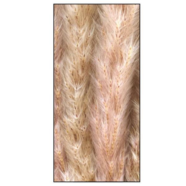 Getrocknetes Pampasgras im 6er-Bund - Natürliche Trockenblumen Deko für Vasen & Gestecke - 65-75 cm lang, federleicht, langlebig, kein Giessen nötig