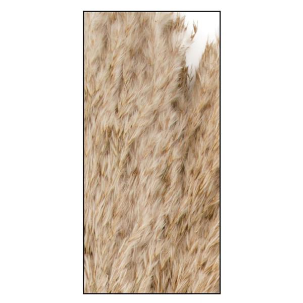 Pampasgras 10er-Bund - Trockenblumen Deko in Vasen/Gestecken - Natur - 75 cm Länge - Federleicht - Langlebig - Für Esszimmer, Wohnzimmer, Arbeitszimmer