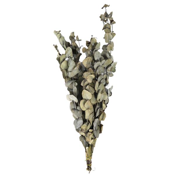 Künstliche Eukalyptus Zweige - Täuschend echte Kunstpflanze für stilvolle Deko - Braun-Grün, 85g, aus Kunststoff - Perfekt für Vase & Arrangement