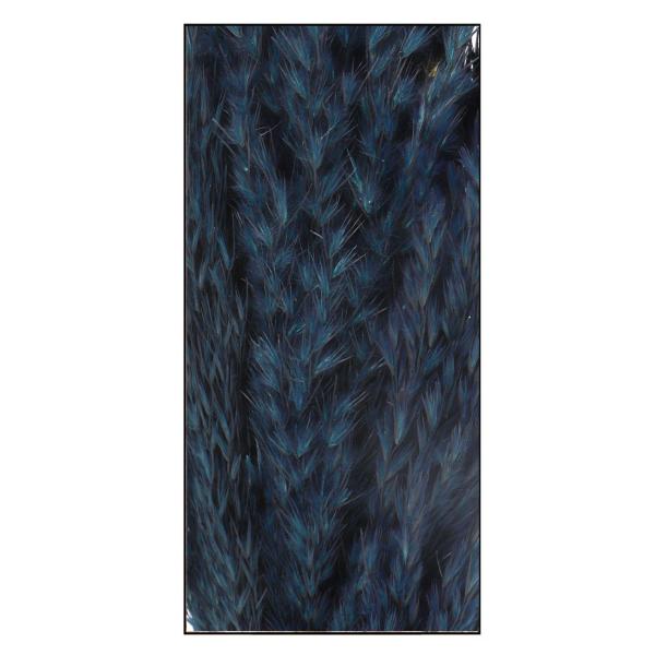 Pampasgras 10er-Bund dunkelblau 75cm - Elegantes Deko-Element - Langlebige Natur-Trockenblumen für Vasen und Gestecke - Kein Giessen nötig