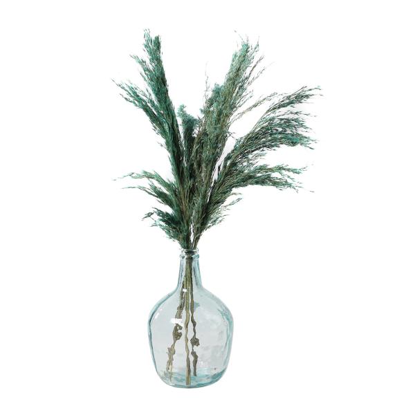 Pampasgras 10er-Bund - Natürliche Trockenblumen Deko für Vasen & Gestecke - Hellgrün, 75cm lang - Federleicht - Lange Haltbarkeit