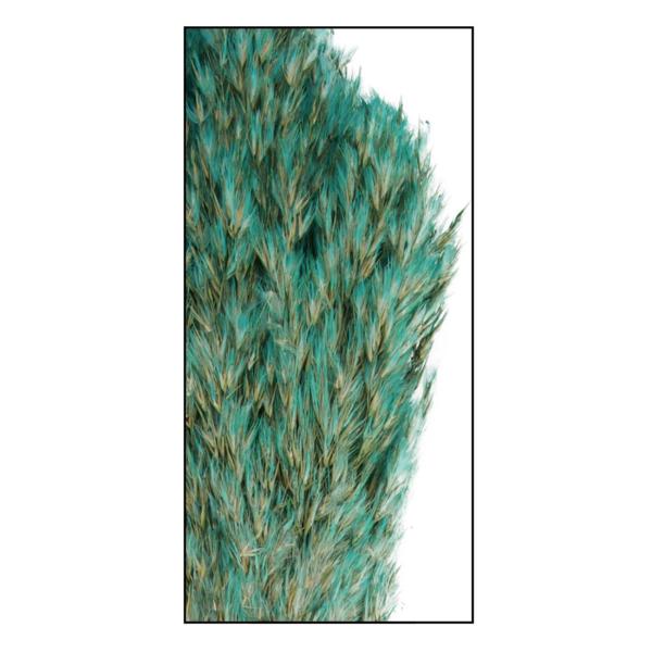 Pampasgras 10er-Bund - Natürliche Trockenblumen Deko für Vasen & Gestecke - Hellgrün, 75cm lang - Federleicht - Lange Haltbarkeit