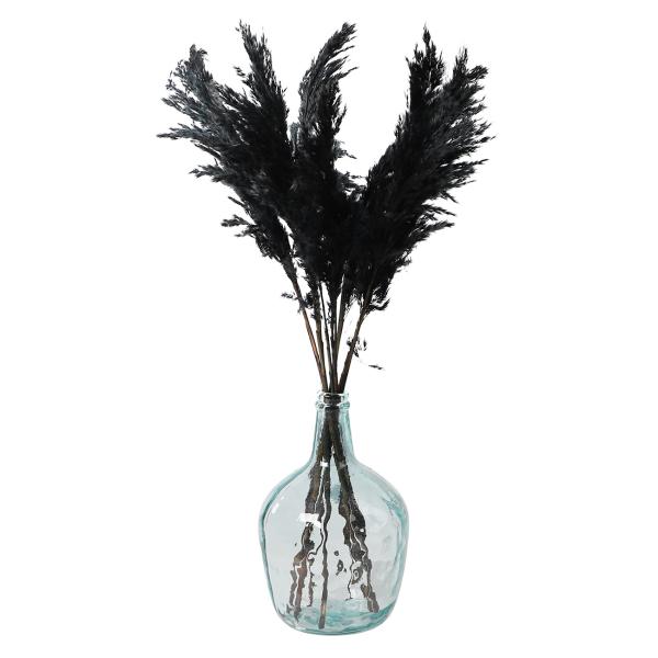 Pampasgras schwarz 10er-Bund - Edle Trockenblumen Deko für Vasen & Gestecke - 75 cm lang, federleicht & natürlich - Langlebiger Eyecatcher