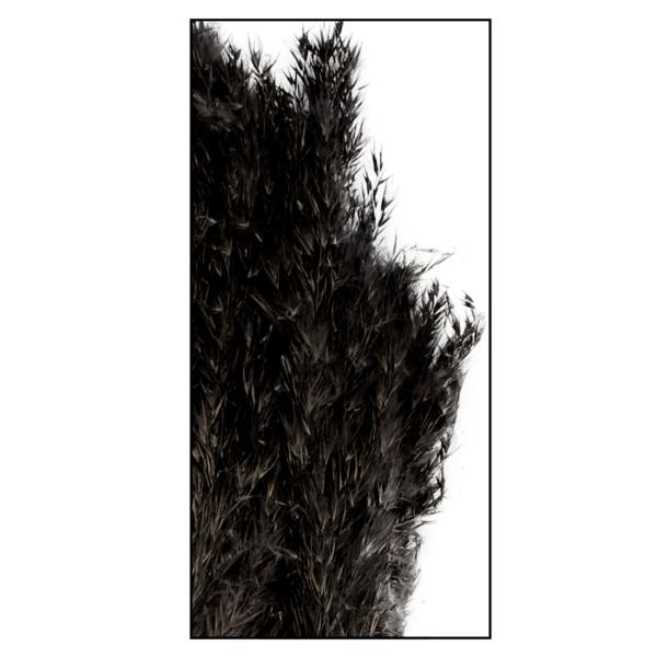 Pampasgras schwarz 10er-Bund - Edle Trockenblumen Deko für Vasen & Gestecke - 75 cm lang, federleicht & natürlich - Langlebiger Eyecatcher