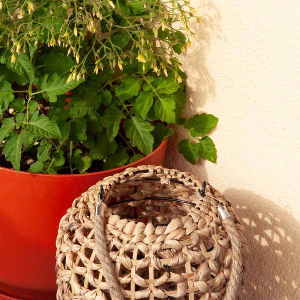 Windlicht Natur aus Rattan - Gemütliche Atmosphäre & hübsches Schattenspiel - Henkel aus Jute - Ø 24 x 36 cm - Für Kerzen mit Kerzenglas