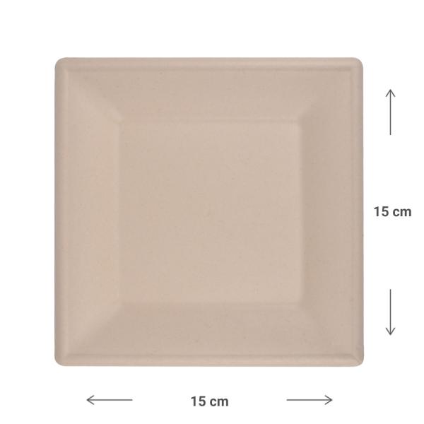 Zuckerrohr Teller eckig 12er-Set - Biologisch abbaubar kompostierbar - Nachhaltig für Party Catering Mikrowelle - 15x15cm heiss & kalt