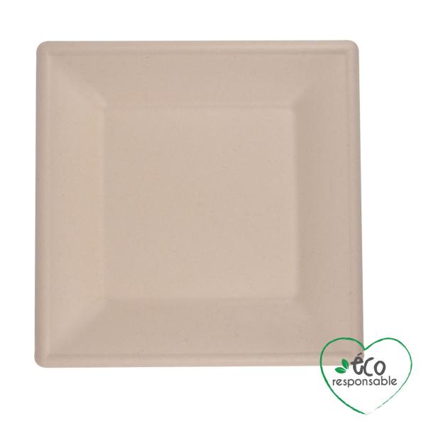 Teller eckig aus Zuckerrohr 12er-Set - Biologisch abbaubar kompostierbar - 20x20cm - Für Party Grill Catering Mikrowelle Heiss Kalt