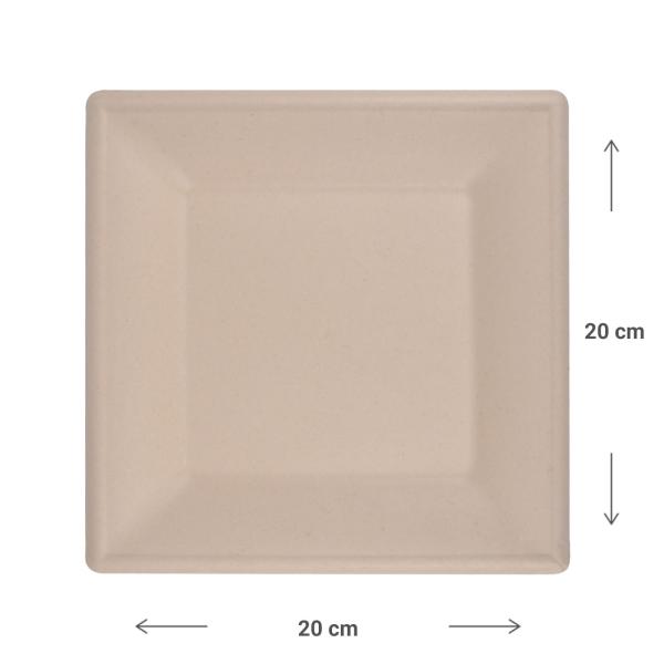 Teller eckig aus Zuckerrohr 12er-Set - Biologisch abbaubar kompostierbar - 20x20cm - Für Party Grill Catering Mikrowelle Heiss Kalt