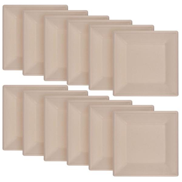Teller eckig aus Zuckerrohr 12er-Set - Biologisch abbaubar kompostierbar - 20x20cm - Für Party Grill Catering Mikrowelle Heiss Kalt
