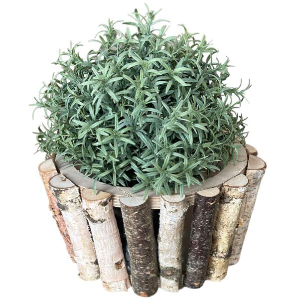 Birkenholz Pflanztopf rund – Naturdeko für Zuhause & Feste – Ø 18,5 x H 10 cm – Mit Kunststoffeinsatz für Blumen & Pflanzen
