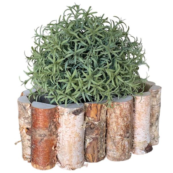 Pflanztopf aus Birkenholz oval – Natürliche Holzdeko für Zuhause Balkon & Terrasse – 23,5x13,5x10cm - Zauberhafter Eyecatcher