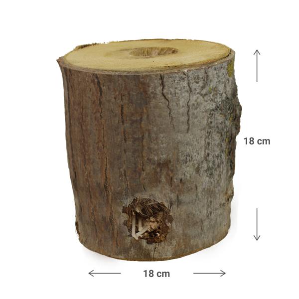 Schwedenfeuer aus Echtholz für den Garten - Stimmungsvolles Licht für Terrasse & Balkon - Pappelholz mit Naturrinde Ø 18x18cm - Ideal als Geschenk