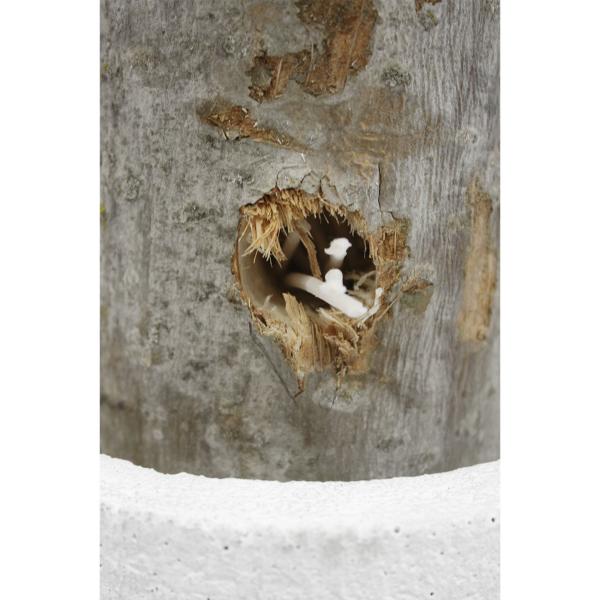 Schwedenfeuer aus Echtholz - Gartenfackel mit Betonsockel Ø 12x18cm - Für Terrasse, Balkon & Outdoor - Pappelholz aus Ungarn - Dekoration & Geschenk