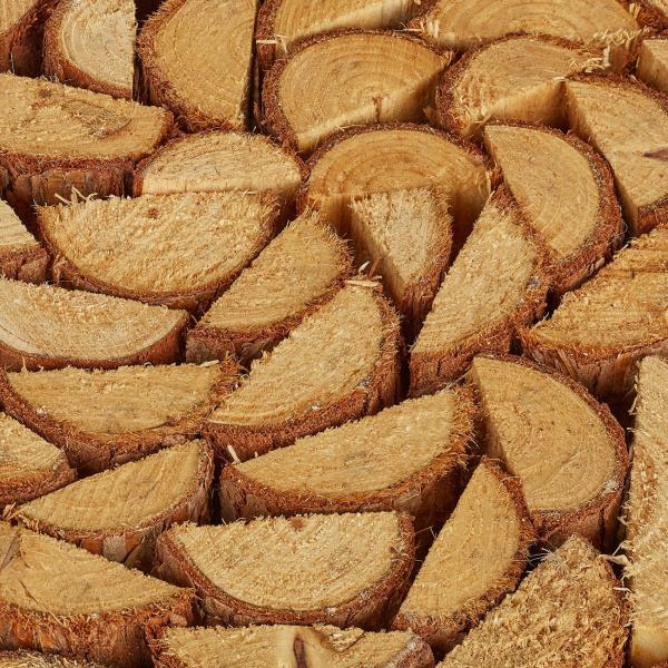 Blumenhocker naturbelassenes Tannenholz - Pflanzenständer Schicker zeitloser Hocker - Ø 20 cm - Ideal für Ihre Lieblingspflanzen Deko