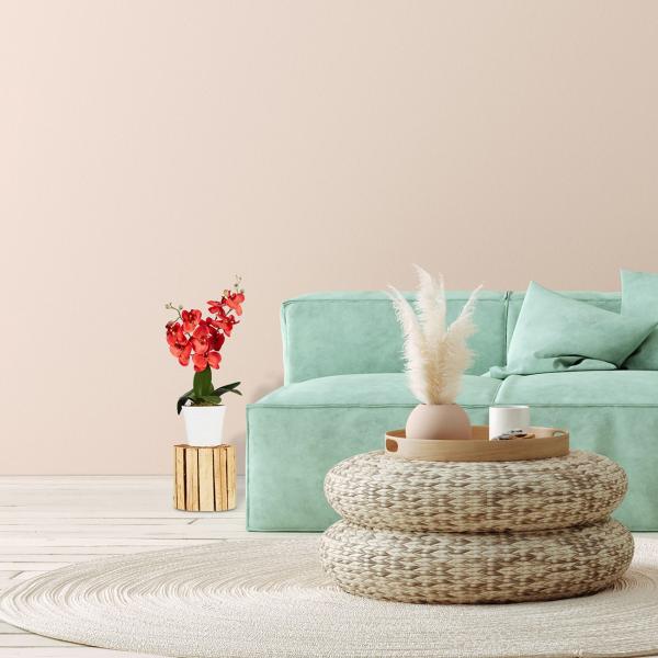 Blumenhocker naturbelassenes Tannenholz - Pflanzenständer Schicker zeitloser Hocker - Ø 20 cm - Ideal für Ihre Lieblingspflanzen Deko