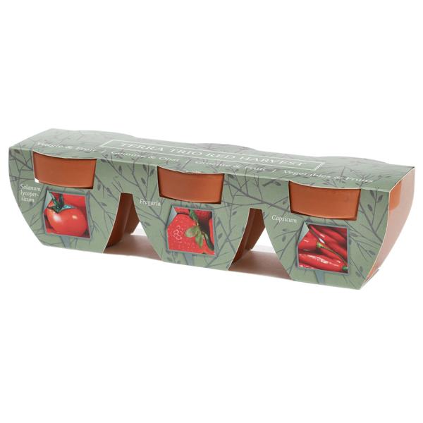 Mini Gewächshaus mit Anzuchtset - Tomate, Erdbeer und Chilis, optimales Klima für schnelles Wachstum, perfekt für Kräuter & Gemüse